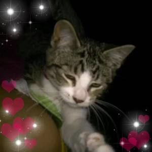 Meet your Posher, Athena